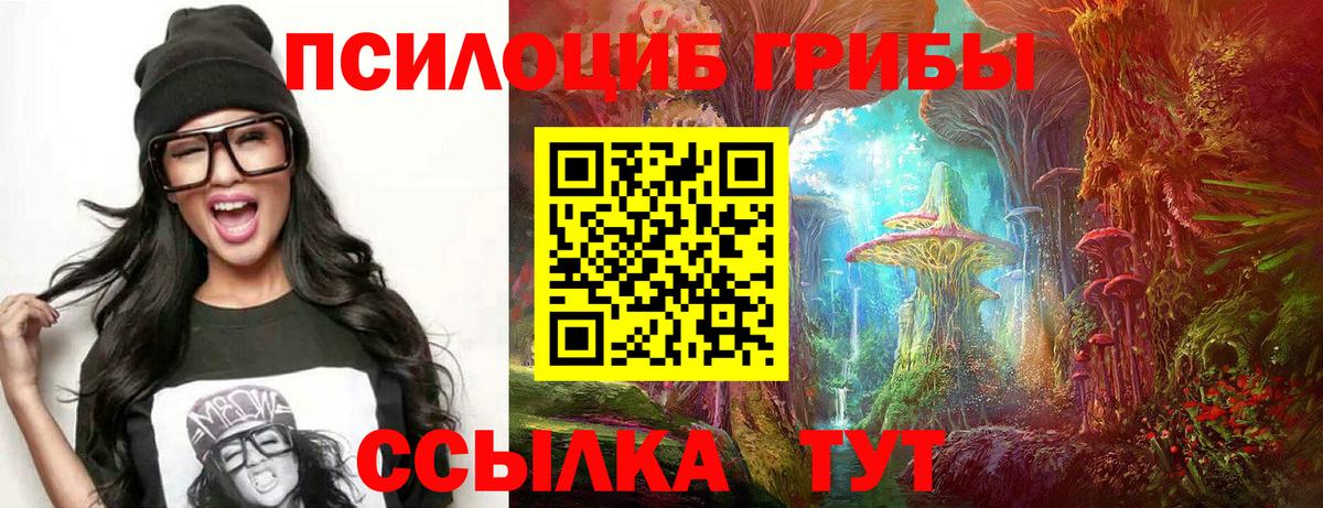 Псилоцибиновые грибы Psilocybe Скопин